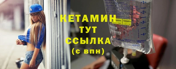 шишки Богородицк