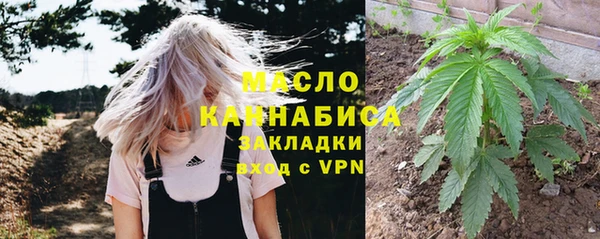 шишки Богородицк