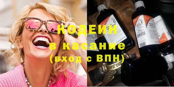 шишки Богородицк
