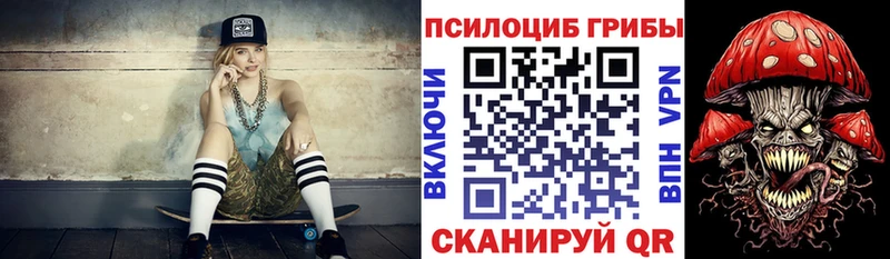 сайты даркнета как зайти  omg ТОР  Кольчугино  Псилоцибиновые грибы Psilocybe 