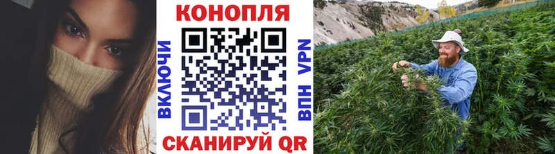как найти закладки  Кольчугино  МАРИХУАНА OG Kush 